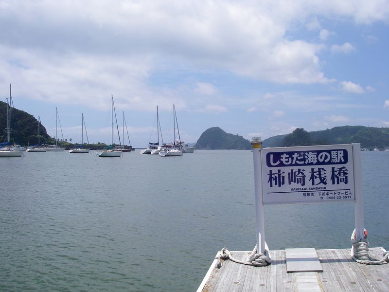 IMGP5167