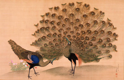 400px-Okyo_Peacock_and_Peahen