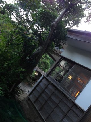 IMG_3495 IMG_3495
